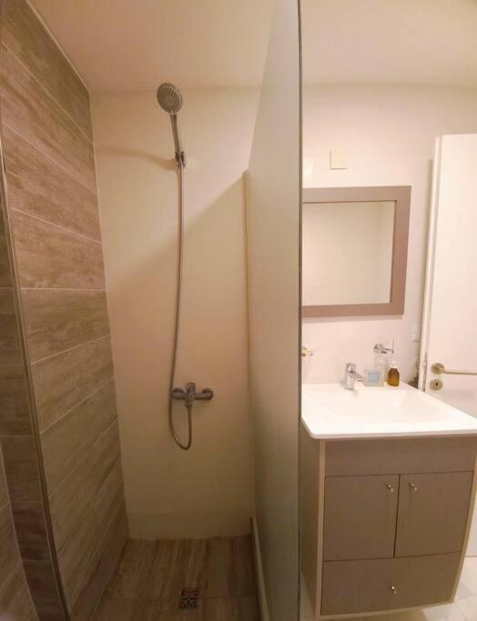 Apartment Loft Con Parrilla *